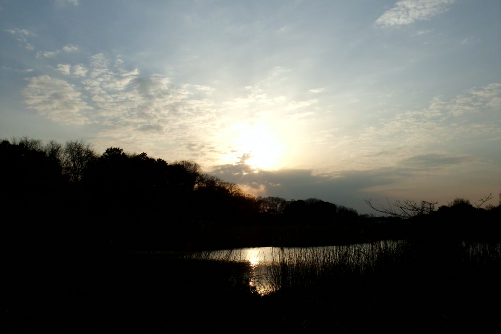 2015/03/21_赤坂沼の夕暮れ