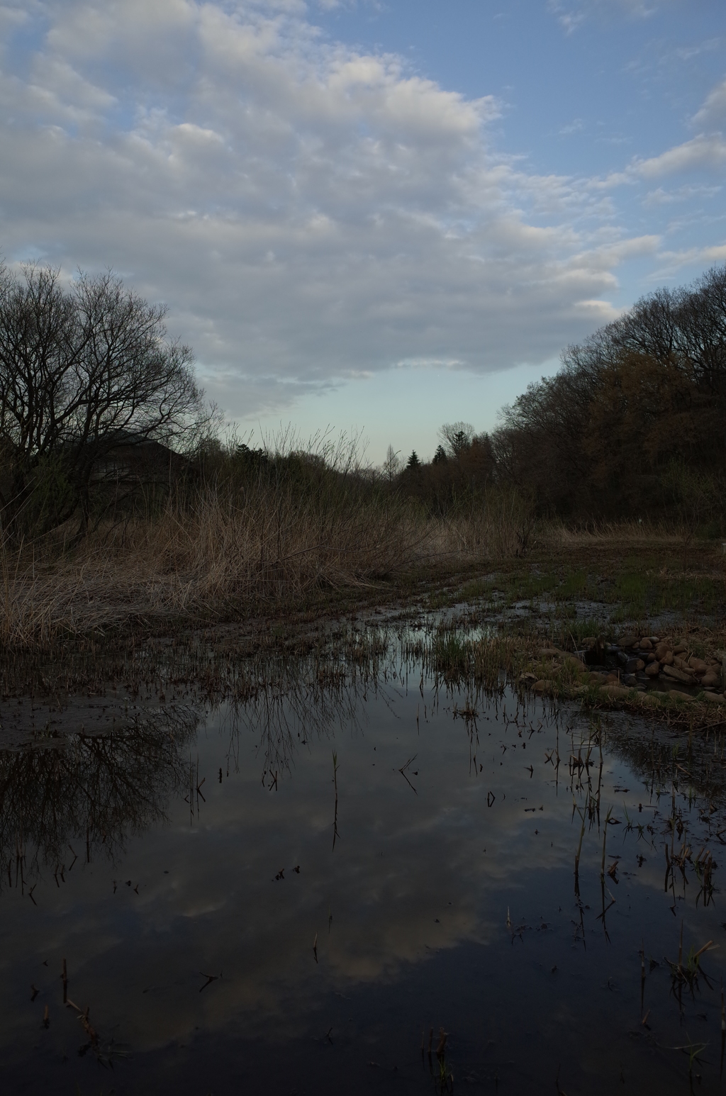 2016/03/26_北本自然観察公園