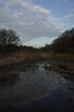 2016/03/26_北本自然観察公園