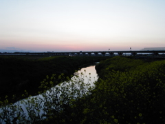 2017/04/15_野通川の夕暮れ菜の花
