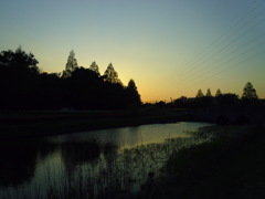 2017/04/23_花の丘農林公苑の夕暮れ