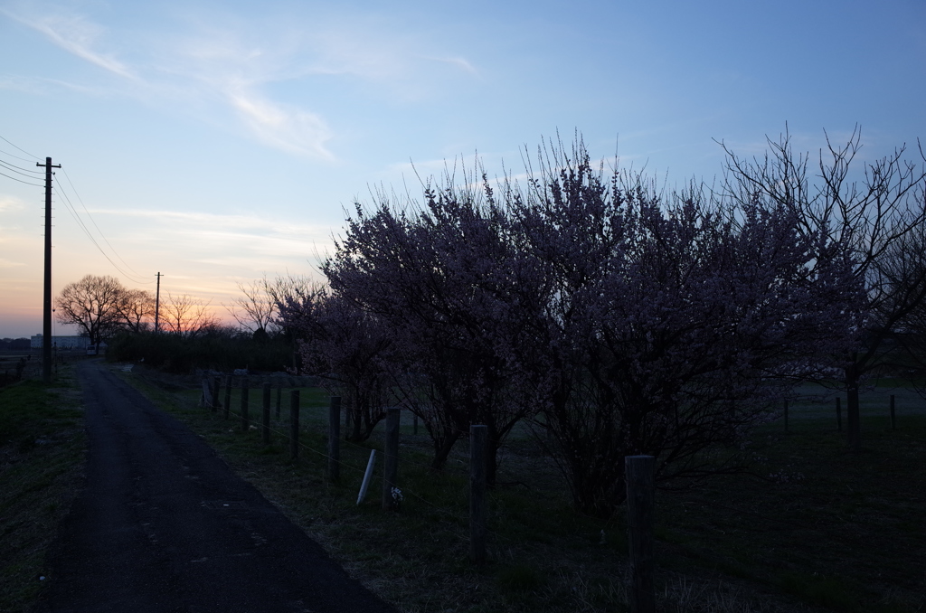 2015/02/28_夕暮れ