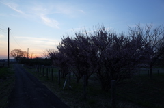 2015/02/28_夕暮れ