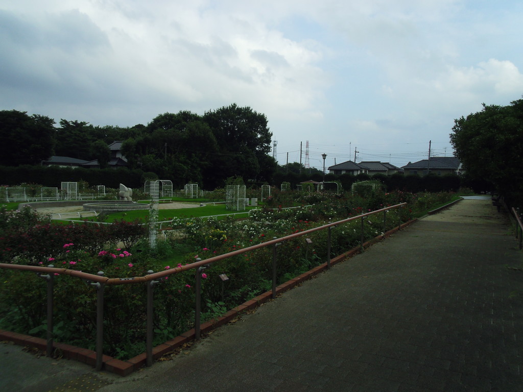 2017/08/05_伊奈バラ園