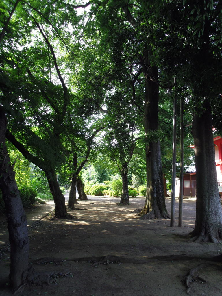 2017/06/11_小室観音堂境内