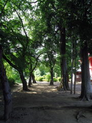 2017/06/11_小室観音堂境内