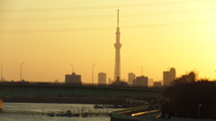 2013/01/02_夕暮れのスカイツリー