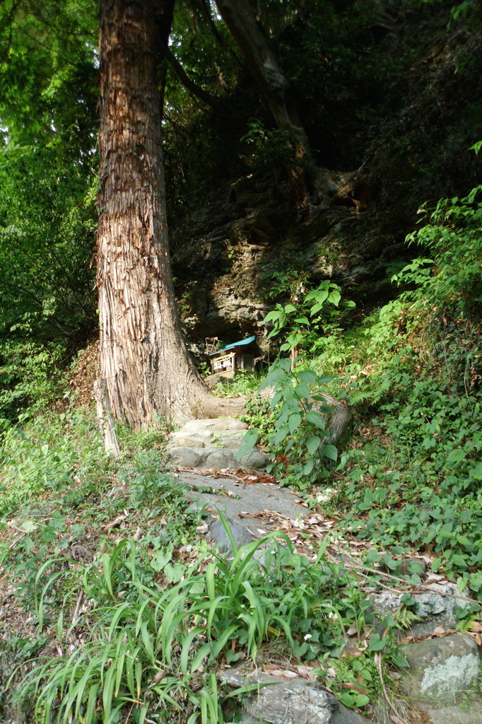 2015/05/23_斜面の社