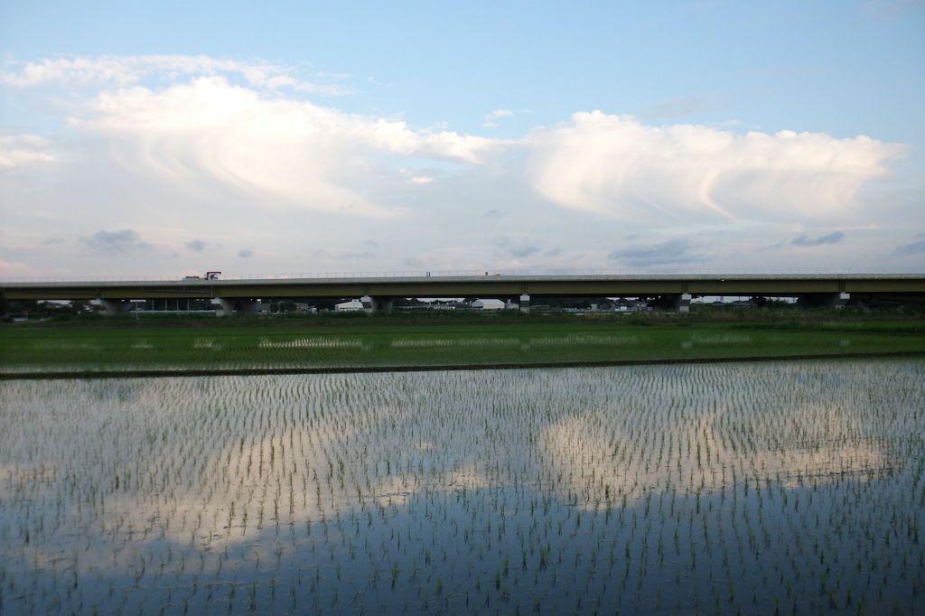 2015/06/21_水田に雲