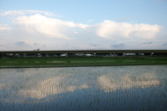 2015/06/21_水田に雲