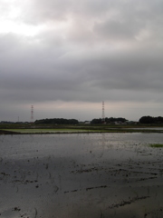 2017/05/27_水田の曇天