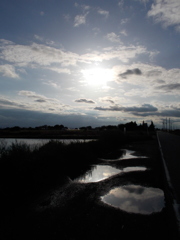 2017/05/14_水溜まりに晴れ間