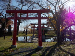 2016/11/14_十和田神社