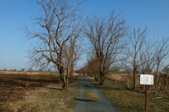 2014/03/23_旧谷中村遺跡への道