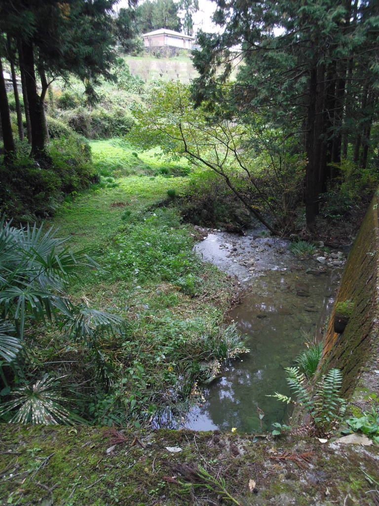 2017/11/04_外秩父山中のせせらぎ