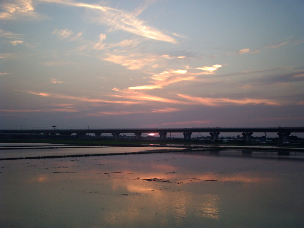 2016/06/18_水田の夕暮れ