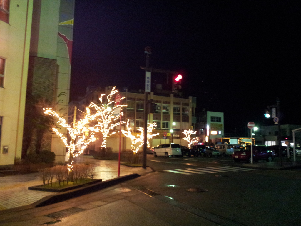2017/01/11_夜、雨上がりの魚津駅前イルミネーション
