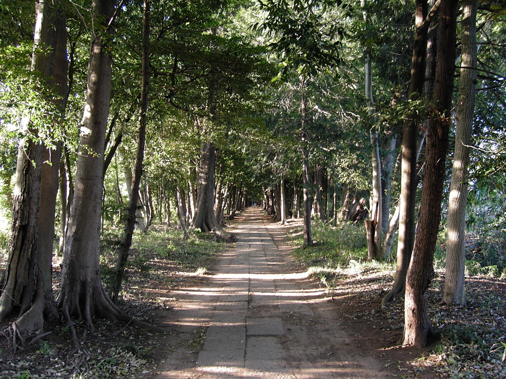 2017/05/04_神明神社参道