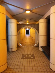 2017/03/12_夜の香港公園 太極園
