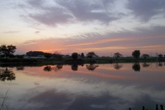 2015/10/03_柴山沼の夕暮れ