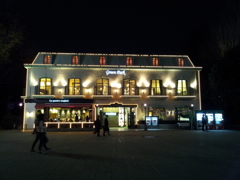 2015/04/03_夜の上野公園グリーンパーク