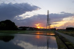 2015/06/06_水田の夕暮れ