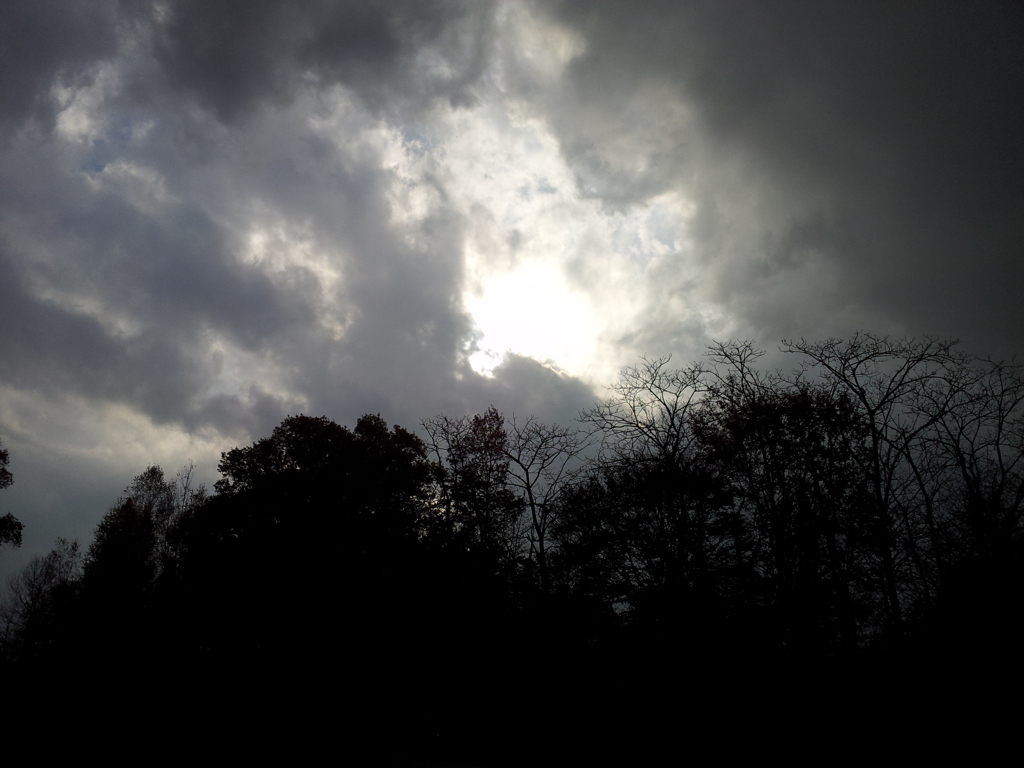 2016/11/13_三内丸山遺跡の空
