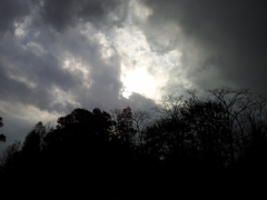 2016/11/13_三内丸山遺跡の空
