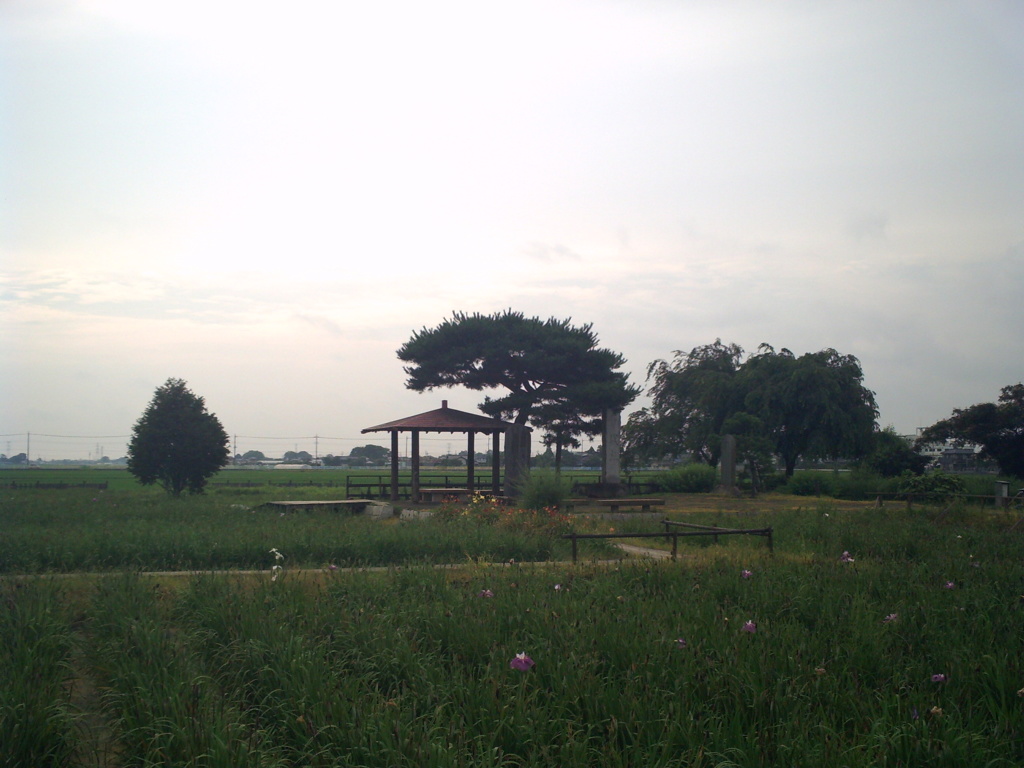 2015/07/05_菖蒲城址あやめ園