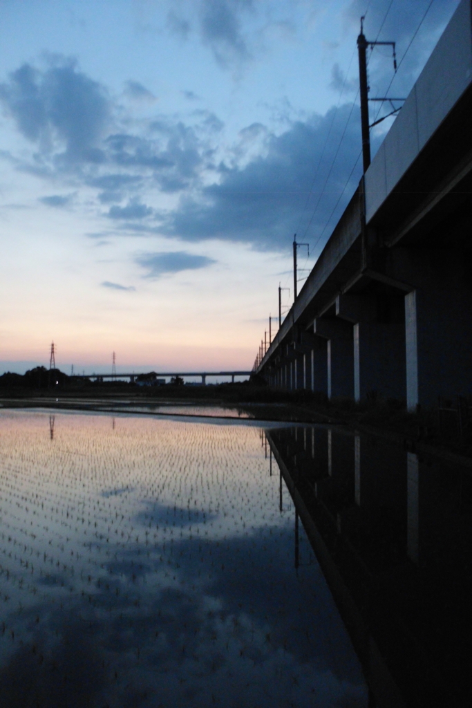 2016/06/05_水田の夕暮れ