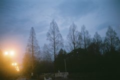 2016/02/13_夕暮れの伊奈町制施行記念公園