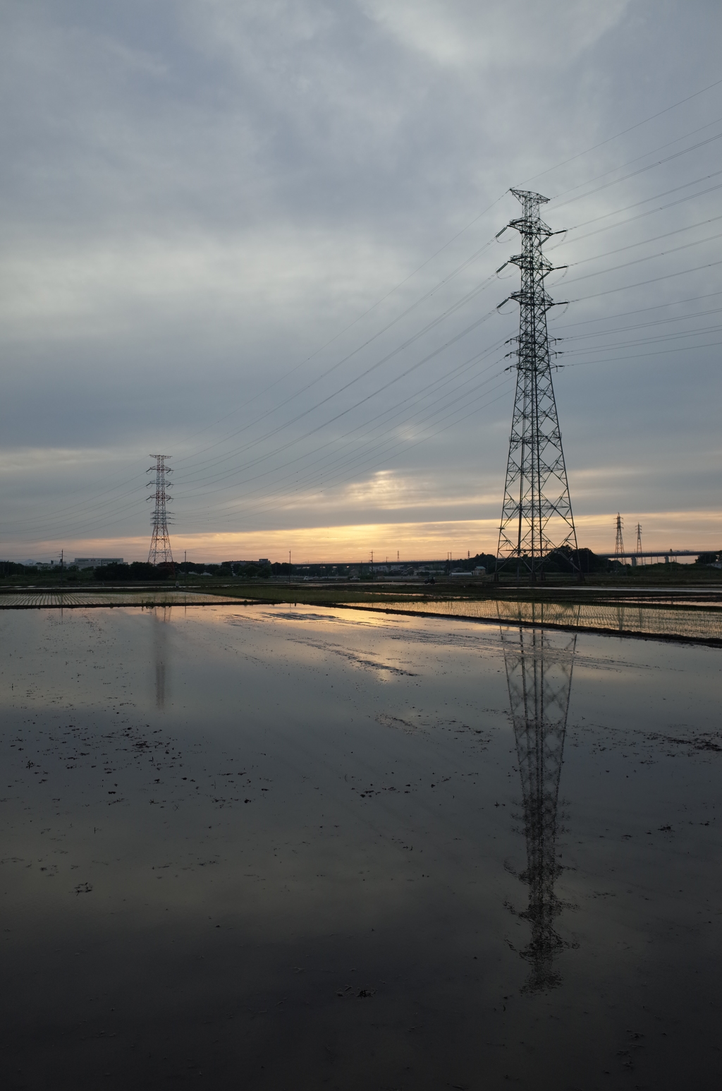 2015/05/31_水田の夕暮れ