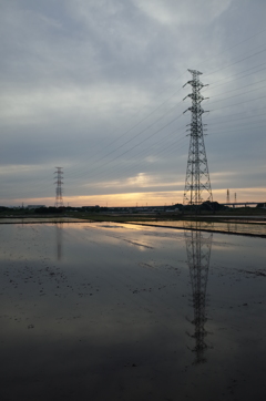 2015/05/31_水田の夕暮れ