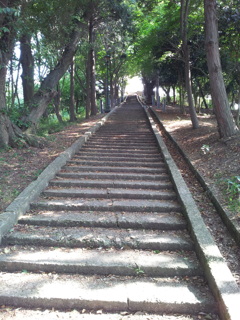 2017/06/18_月明公園