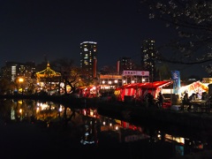 2017/04/03_夜の上野公園