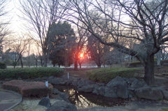 2016/02/27_花の丘農林公苑の夕暮れ