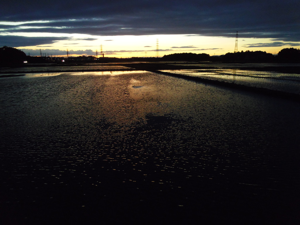 2017/06/04_水田の夕暮れ