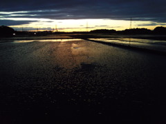 2017/06/04_水田の夕暮れ