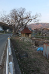 2014/03/29_小屋と木と荷車