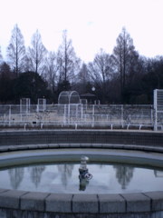 2016/02/13_夕暮れの伊奈町制施行記念公園