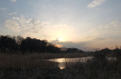 2015/03/21_赤坂沼の夕暮れ