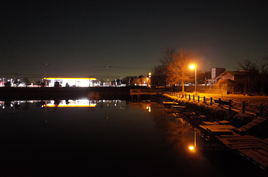 2015/01/24_夜の弁天沼