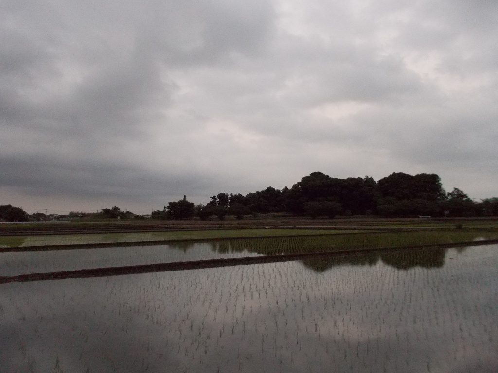 2017/05/27_水田の曇天