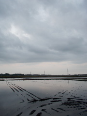 2017/05/27_水田の曇天