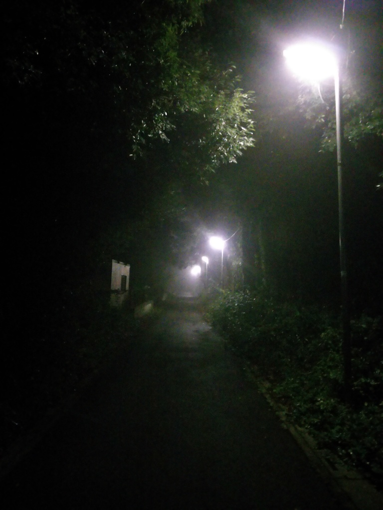 2016/10/09_薄ら靄の夜道