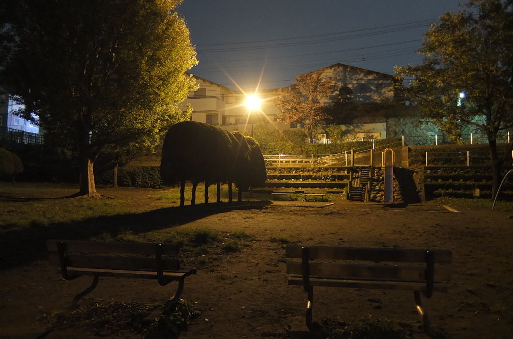 2014/11/02_夜の公園