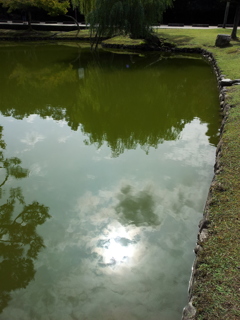 2016/10/18_奈良公園 浮雲園地の池に空