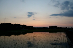 2016/06/05_水田の夕暮れ