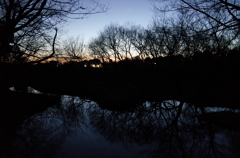 2015/02/14_夕暮れの秋葉の森総合公園