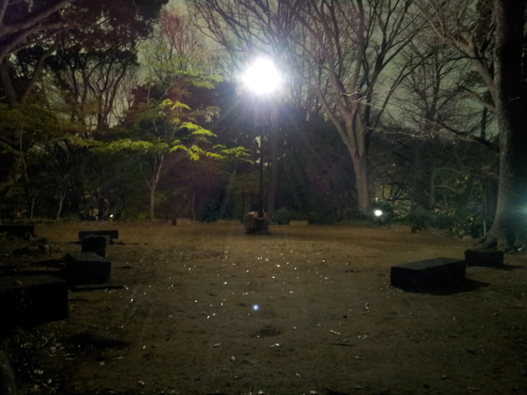 2016/04/01_夜の上野公園 擂鉢山
